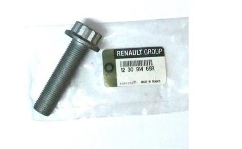 123091465r-sruba-renault-moto-dynamic