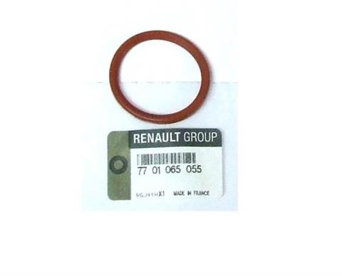 7701065055-renault-moto-dynamic